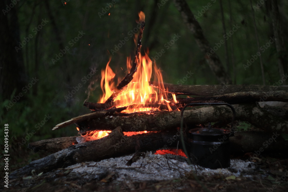 Image of a fire in the forest. Image of a fire in the forest.