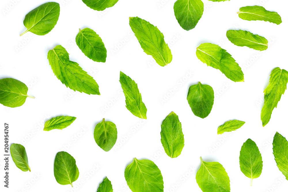Fresh mint leaves on white background, leaves pattern, top view Fresh mint leaves on white background, leaves pattern, top view
