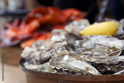 Close-up of sealed shells of fresh oysters, lemon and large ice cubes lie on a tray. The concept of a picnic. Luxury seafood. Natural background. Selective focus