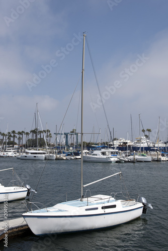 Sailboat in the harbor