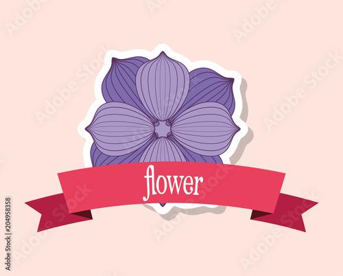 emblem with beatufiful flower icon and decorative ribbon over pink background, colorful design. vector illustration photo