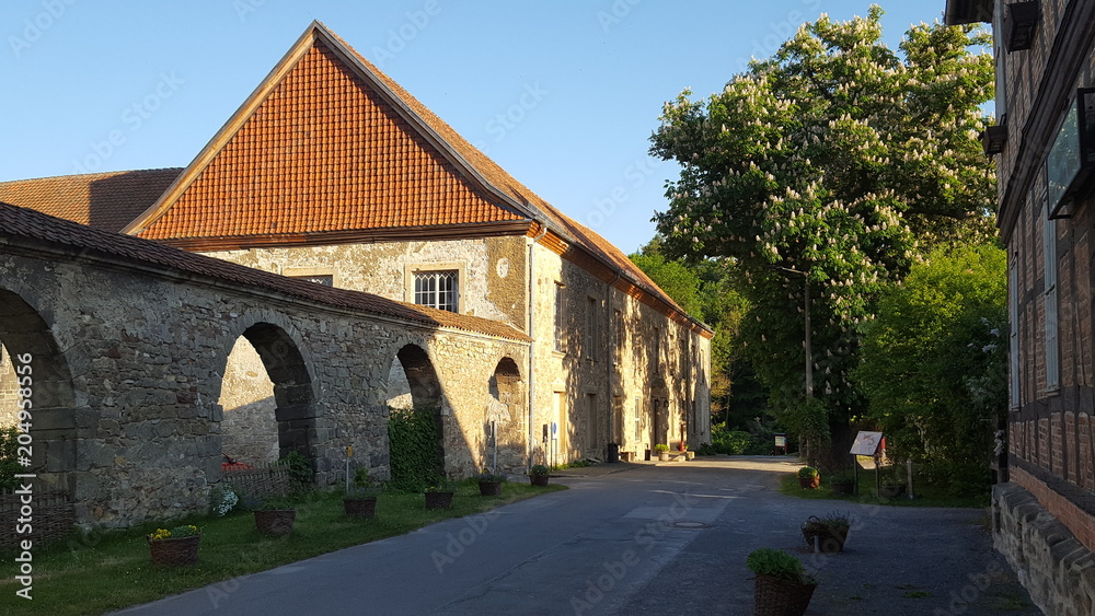 Kloster Michaelstein, Blankenburg (Harz)