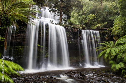 Iconic Russell Falls  Tasmania  Australia