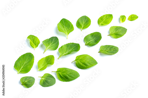 Leaves of fresh mint are laid out on a white background. Flight. Leaves pattern, top view