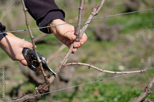 Canvastavla la taille dans le champagne