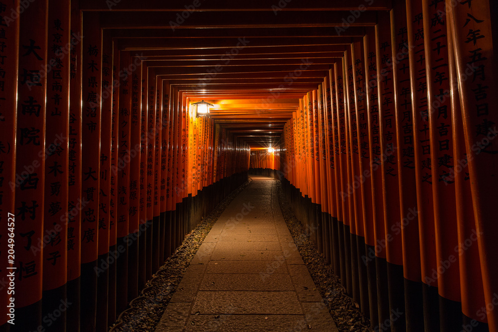 Torii gates, Kyoto, Japan
