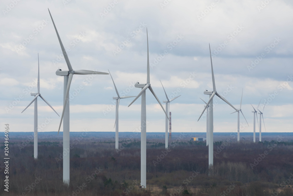 Wind farm on the Baltic sea coast