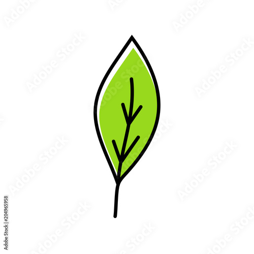 Leaf icon vector illustration
