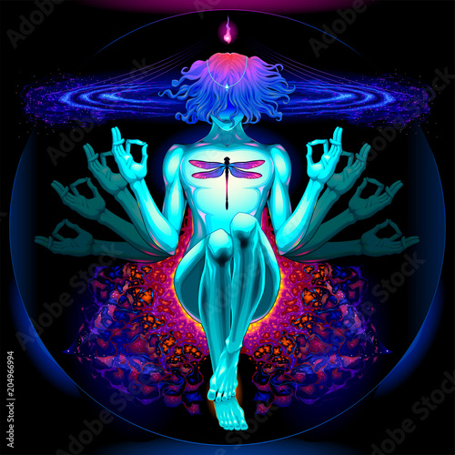 The dragonfly allows to dissolve the appearance of reality