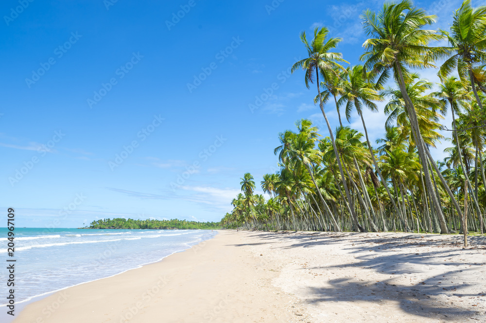 Scenic view of a remote Brazilian beach with shadows of palm trees falling on the shore in Bahia, Brazil