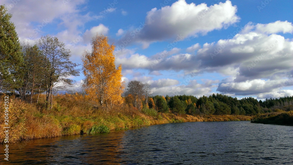 Golden autumn on a small river - view from the water on the yellow trees on the banks and the blue sky with clouds