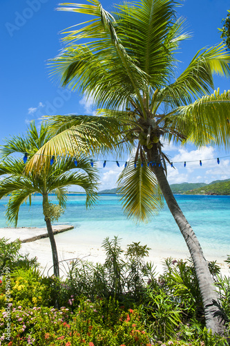 Beautiful bright view through tropical vegetation to a white sandy beach and clear blue Caribbean sea