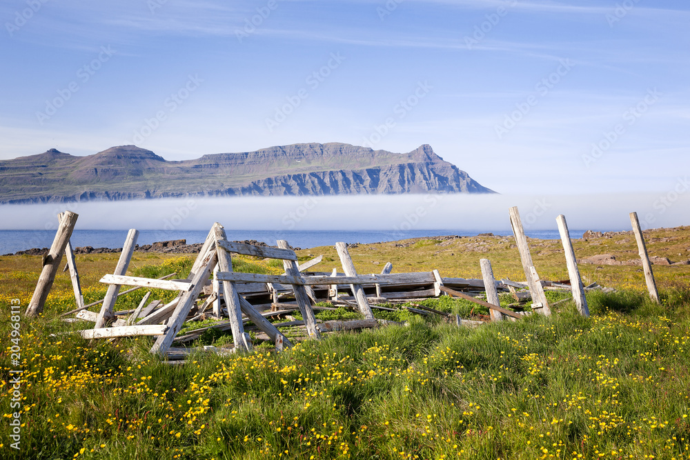 Waft mist at Fáskrúðsfjörður