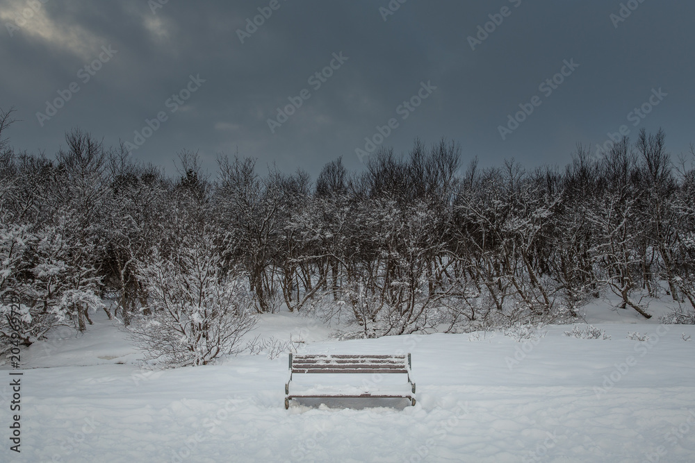 Lone bench covered in snow, Iceland