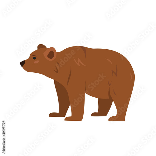 Cute bear on white background.