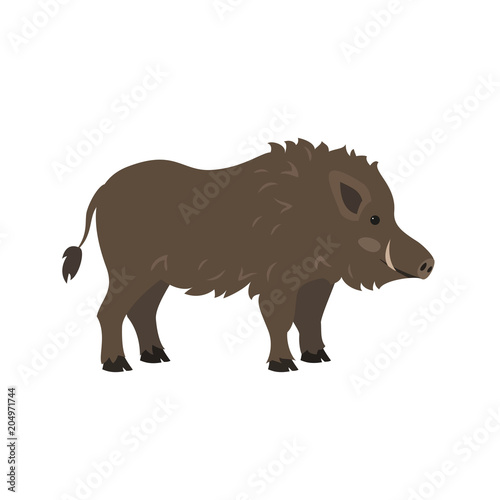 Cute boar on white background.
