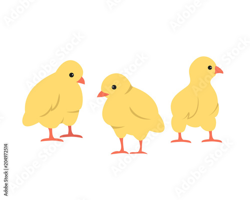 Set of cute cartoon chickens on white background.