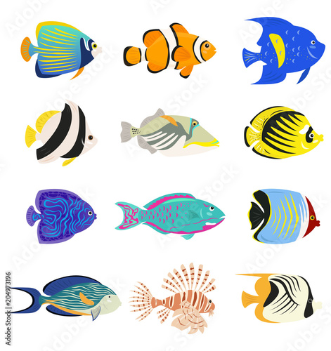 Set of cute tropical fishes on white background.