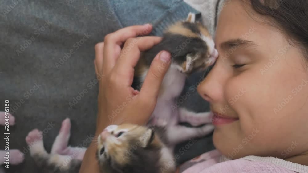 girl and two cute kittens concept - happy little girl with cat in bed at home. schoolgirl baby and cat love of pets lifestyle the kitten girl and two cute kittens concept - happy little girl with cat in bed at home. schoolgirl baby and cat love of pets lifestyle the kitten