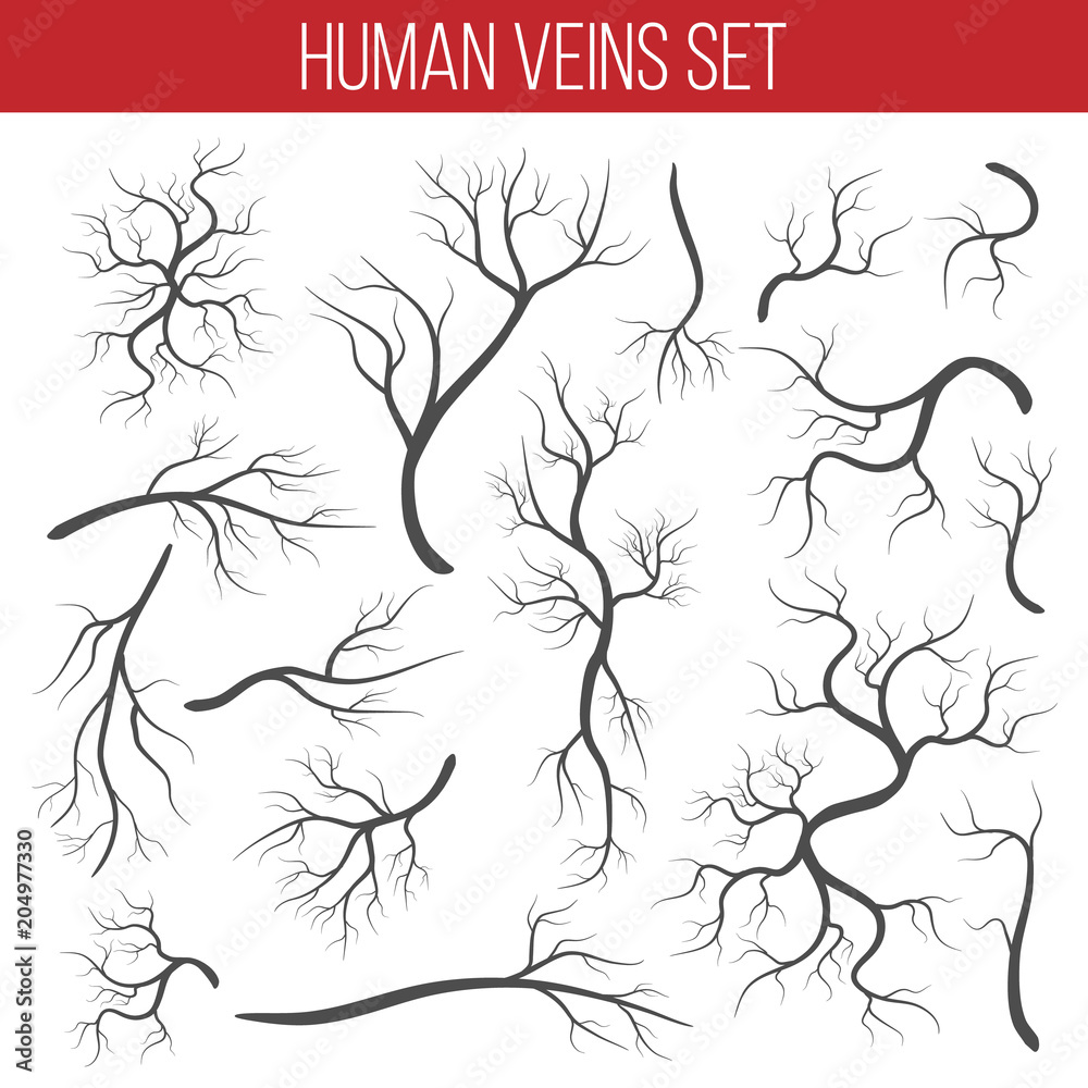 Creative vector illustration of red veins isolated on background. Human vessel, health arteries, Art design. Abstract concept graphic element capillaries. Blood system Creative vector illustration of red veins isolated on background. Human vessel, health arteries, Art design. Abstract concept graphic element capillaries. Blood system