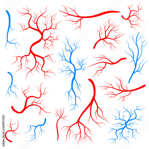 Creative vector illustration of red veins isolated on background. Human vessel, health arteries, Art design. Abstract concept graphic element capillaries. Blood system