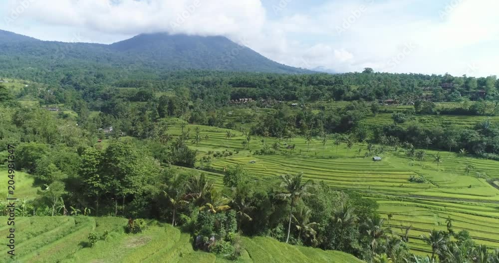Aerial view of rice terrace. Flight over of Jatiluwih rice field - October 2017: Bali, Indonesia Aerial view of rice terrace. Flight over of Jatiluwih rice field - October 2017: Bali, Indonesia