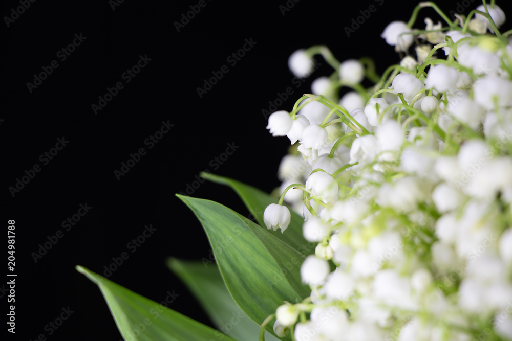 a bouquet of lilies of the valley. background. a bouquet of lilies of the valley. background.