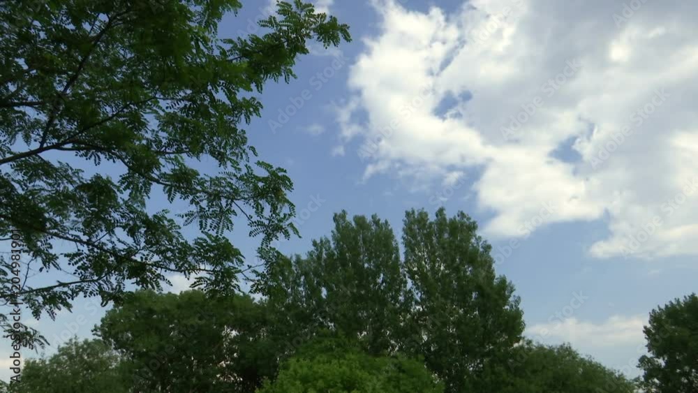Time-lapse the movement of clouds in the sky during the day in the forest Time-lapse the movement of clouds in the sky during the day in the forest