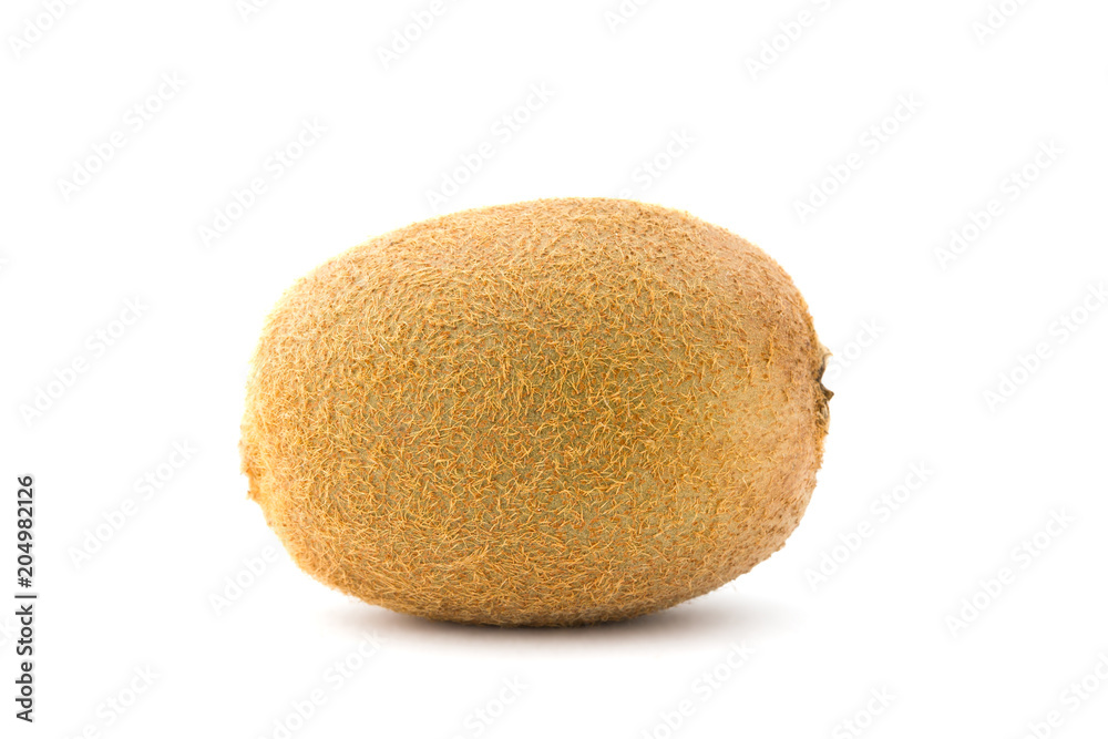 Kiwi on white background. One kiwi close-up on isolated on white background. Kiwi on white background. One kiwi close-up on isolated on white background.