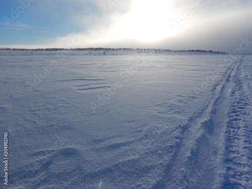 crosscountry skiing in northern lapland beautiful nature