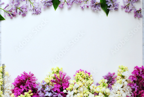 Fresh branches of  lilac on white background