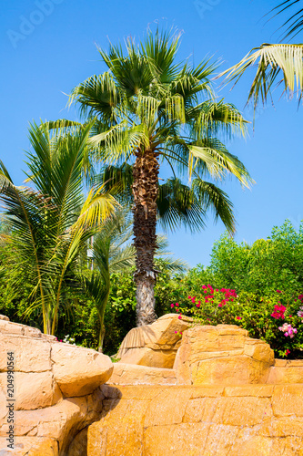 View of the Aquaventure waterpark in Dubai, UAE photo