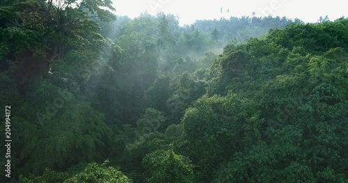 Aerial view of foggy rainforest. Flight over of jungle photo