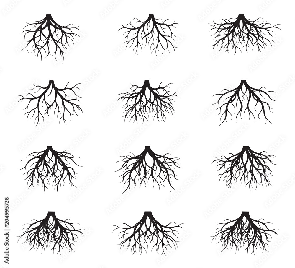 Set of Black Roots Tree. Vector Illustration.