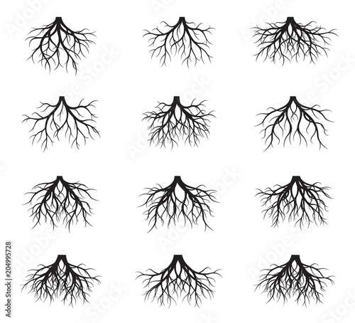 Set of Black Roots Tree. Vector Illustration.