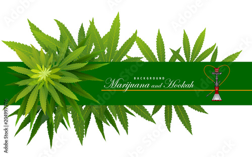 green marijuana hookah and marijuana green leaf.