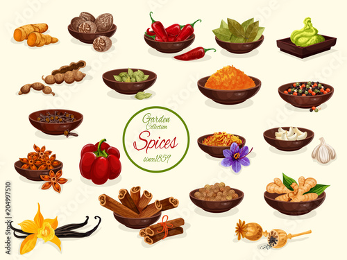 Spice, condiment and food seasoning poster