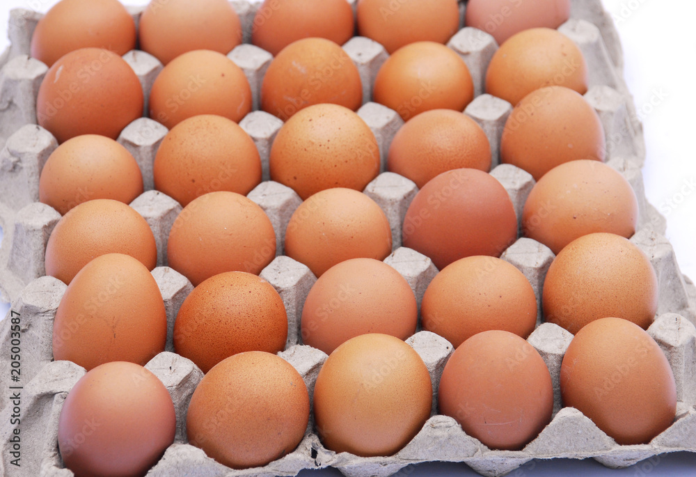 close up on brown eggs in egg box isolated on white background close up on brown eggs in egg box isolated on white background