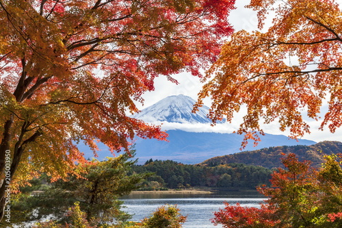 富士山と紅葉、山梨県富士河口湖町河口湖にて