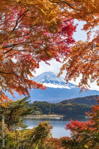 富士山と紅葉、山梨県富士河口湖町河口湖にて
