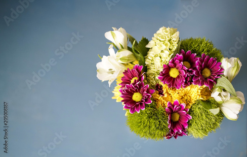 bouquet of flowers on blue background
