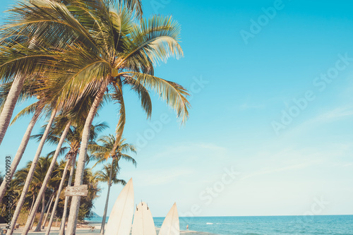 Fototapeta Naklejka Na Ścianę i Meble -  Landscape of coconut palm tree on tropical beach in summer. beach sign for surfing area. Vintage effect color filter.