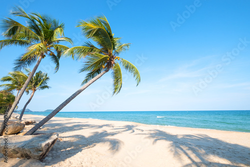 Beautiful landscape of coconut palm tree on tropical beach  seascape  in summer. Summer background concept.