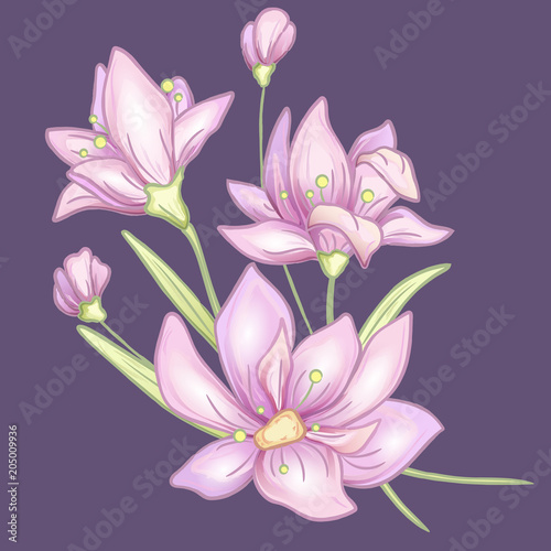 Flower branch and leaves. Hand drawn violet. Vector