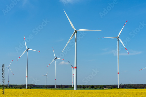 Wind power plants in a flowering rapeseed field seen in rural Germany