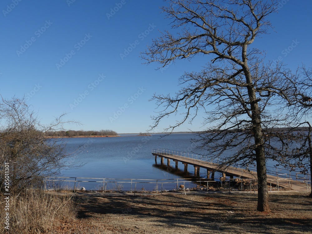 Fototapeta premium Leafless tree with a wooden dock with railings Thunderbird Lake State park on a cold day 