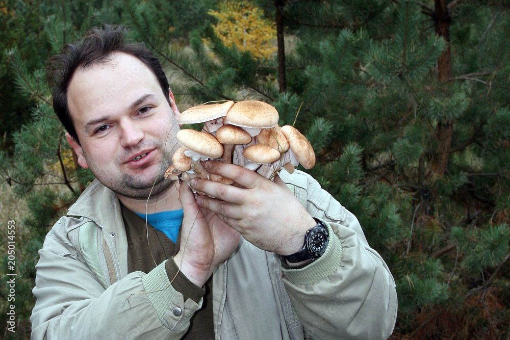 The man holds in his hands a lot of mushrooms, known as a honey fungus