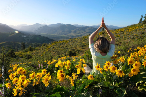 Woman meditating in medows with sunflowers Arnica. Seattle. Leavenworth. Washington State. United States of America. photo