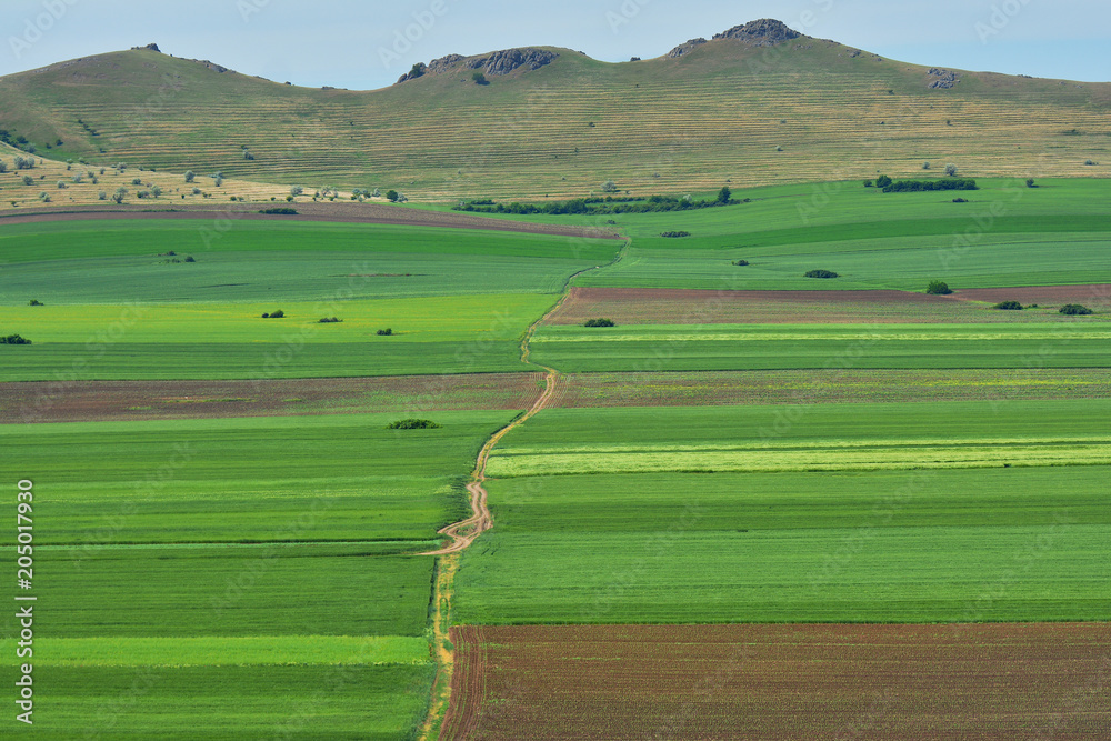 Agriculture landscape in Macin mountains of Dobrogea, Romania