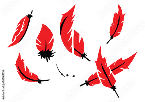 Red and Black Feather